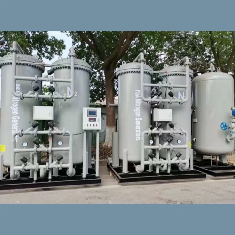 PSA Gas Generator Equipment Oxygen Nitrogen for Food protection