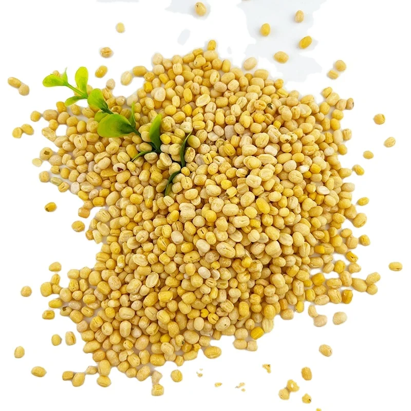 Wholesale High Quality Green  vigna green beans Mung Beans green moon skinless split green mung bean