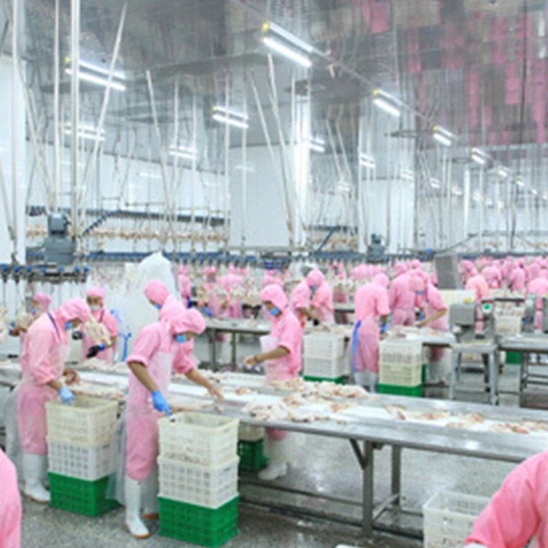 AICN high quality automatic broiler duck slaughter equipment chicken house bird machine line