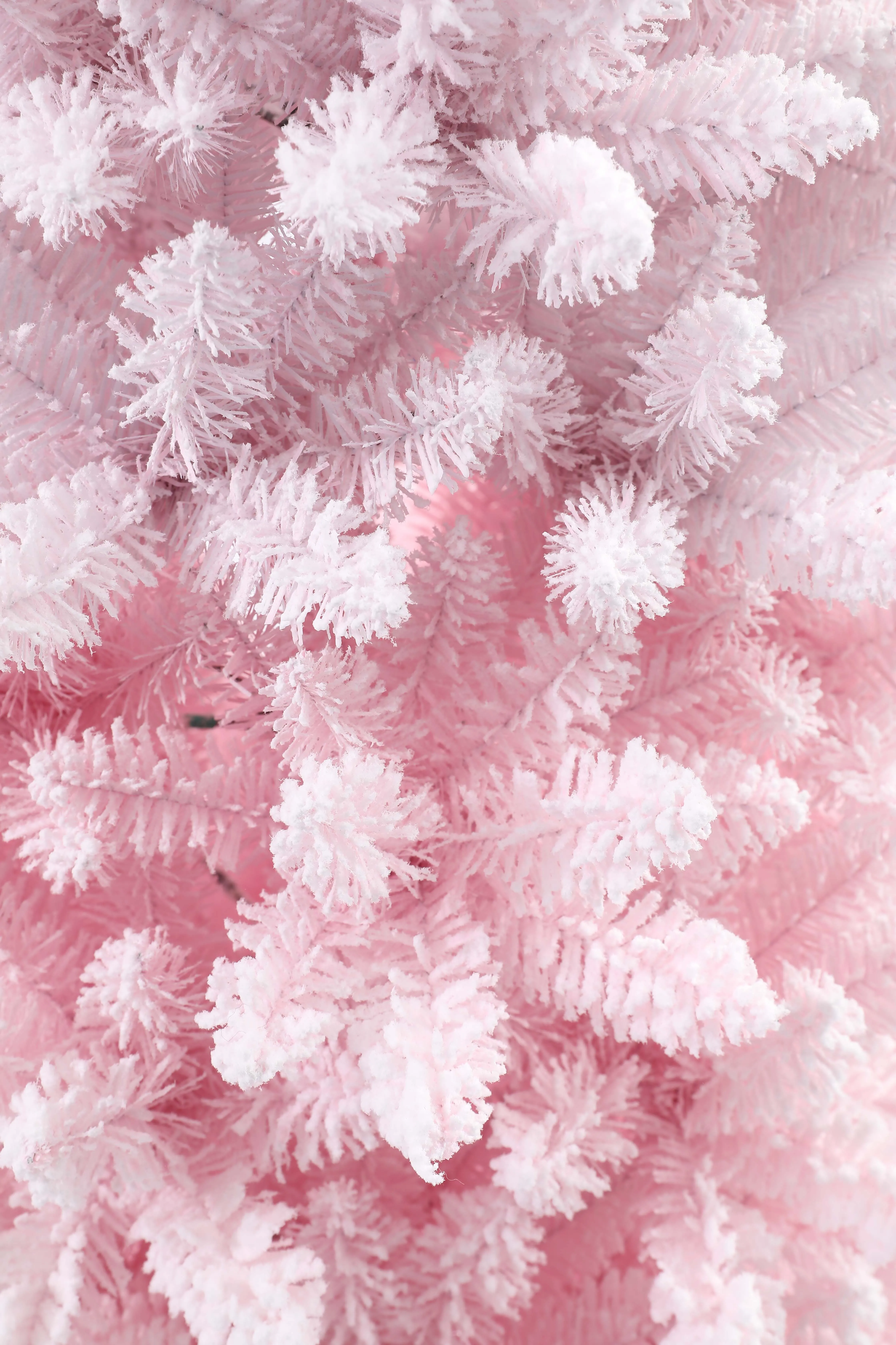Pre-lit Whole sale Artificial Christmas tree flocking tree black &pink color hinged style  metal stand for Xmas home party use