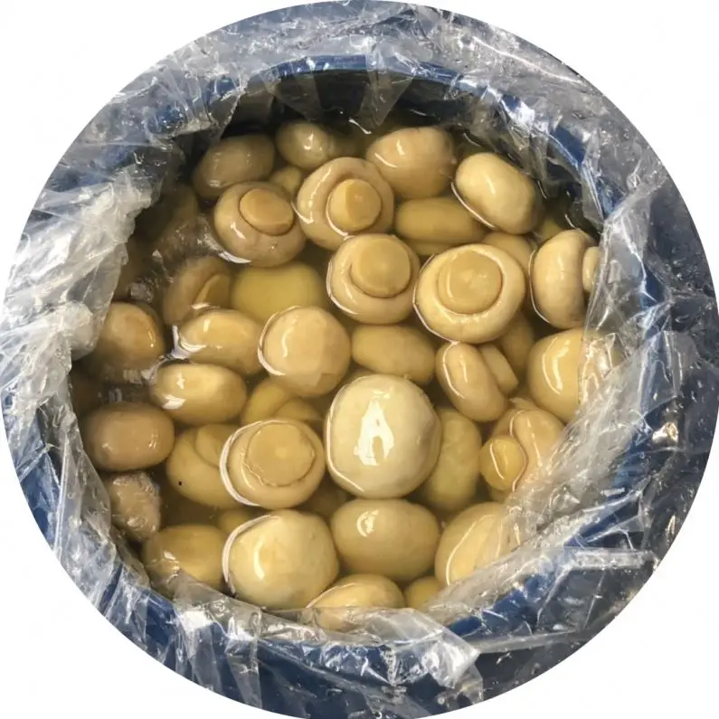 
shiitake champignons in brine 