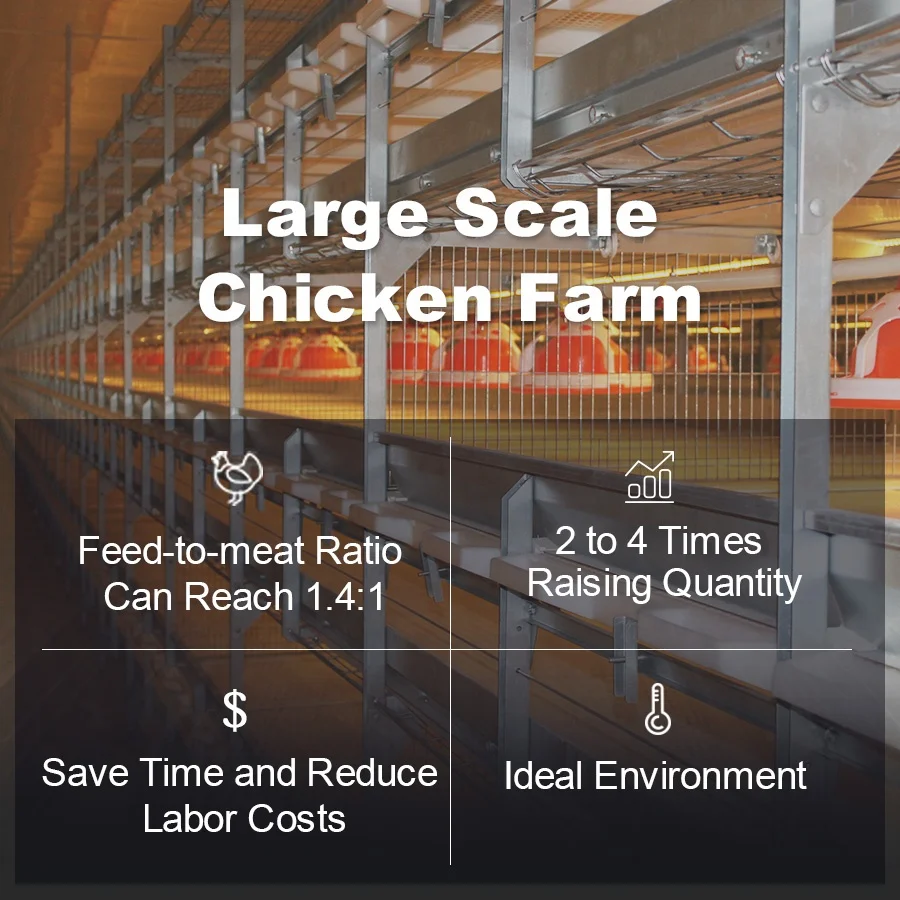Hot Selling Fully Automated Broiler Battery Chicken Cage System for poultry farm