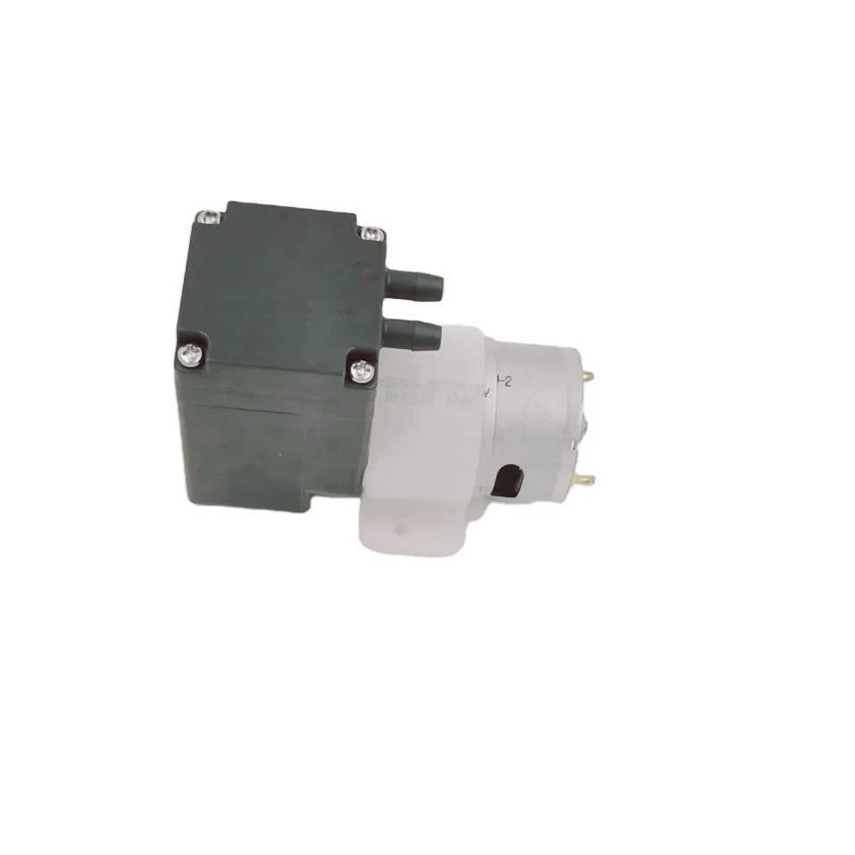 Low consumption dc 24v brush beauty pump