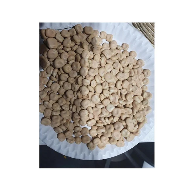 Fresh Natural Agricultural Food Premium Quality  And Hot Selling Ethiopia Lupin Beans For Wholesale