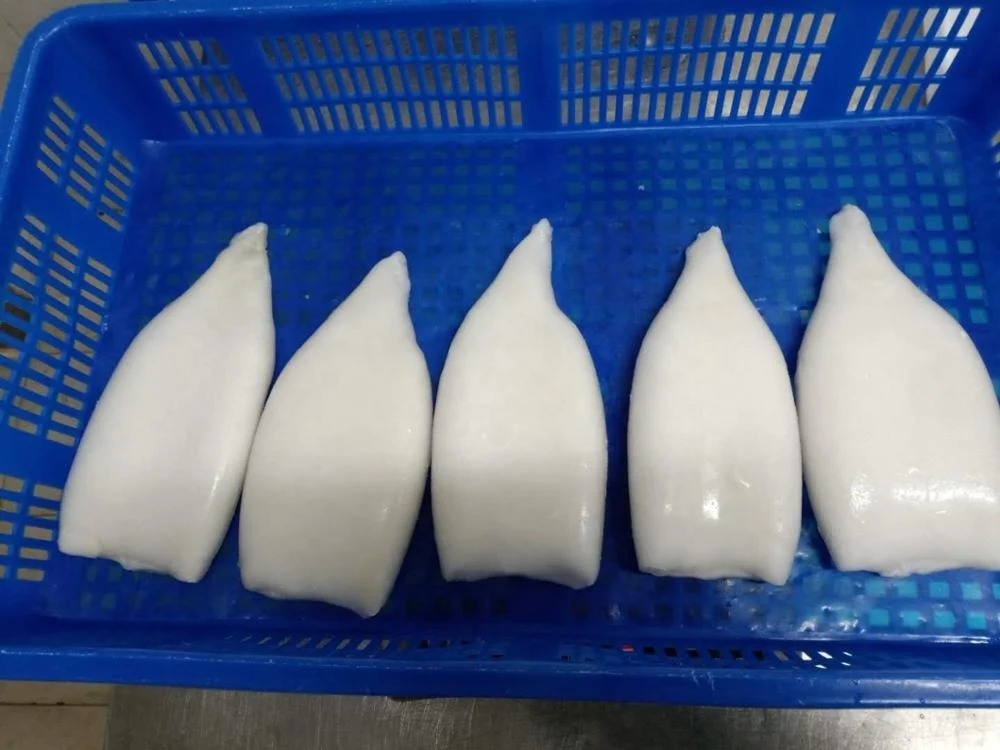 Good Sale Frozen Squid Tube
