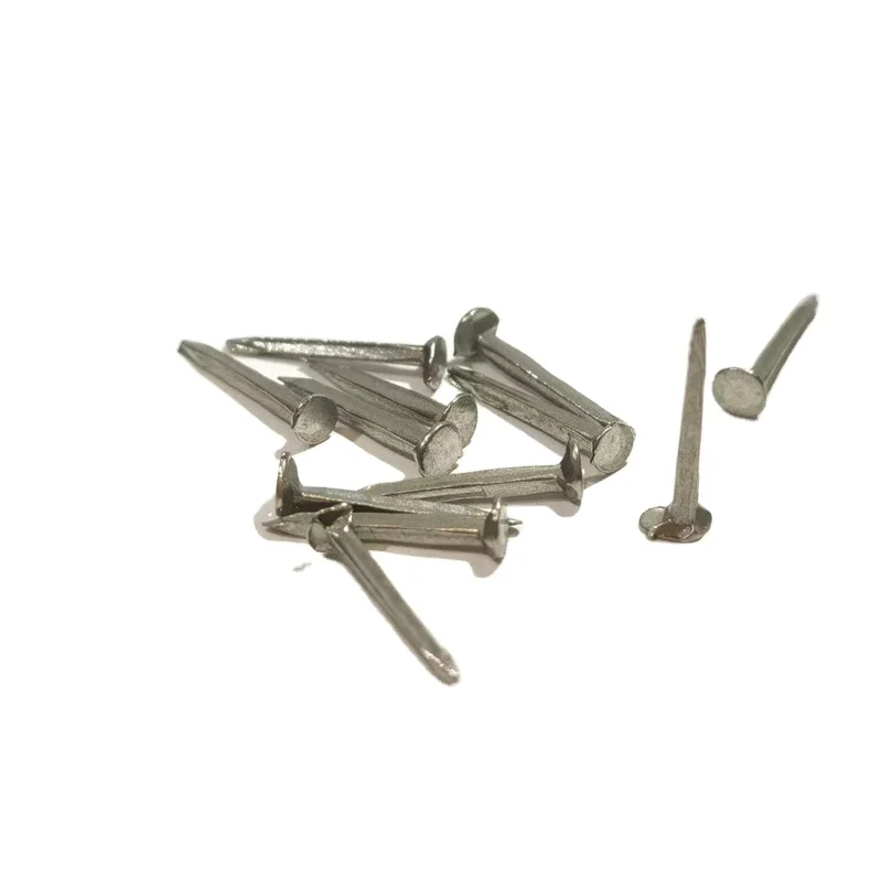 Wholesale Custom Polished Shoe Tack Shoe Nails with Good Price