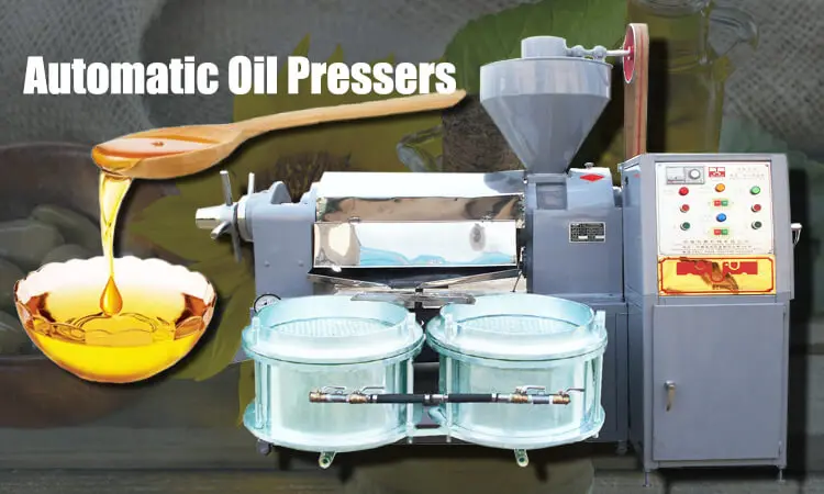 Oil Press Machine with Filter Fully Automatic Palm Line Black Seeds Sunflower Processing