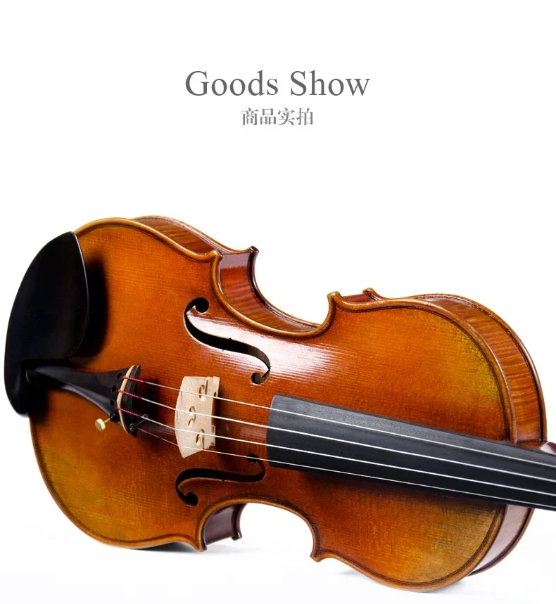 CHRISTINA Violin S600D Handmade Best Brand Grade Professional Performance With Case String Bow