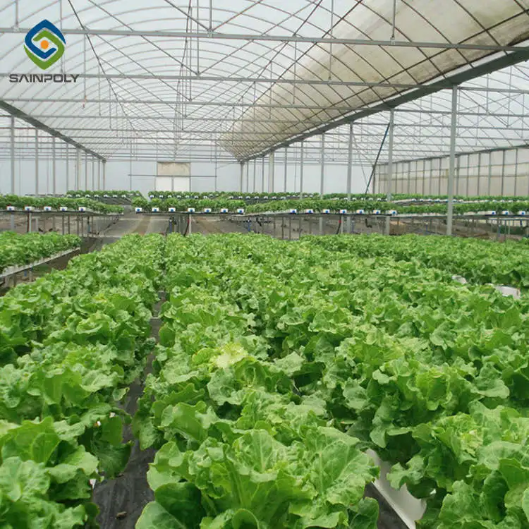 Sainpoly low cost multi span greenhouse Agricultural Equipment  autom 40x100 Film greenhouse for sale