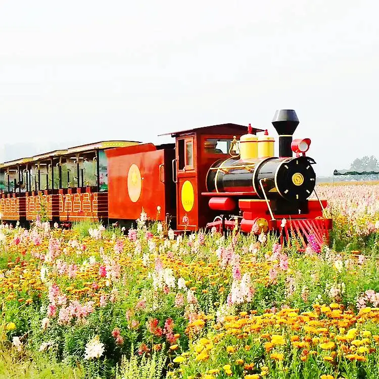 Sightseeing mechanical monorail train park attraction electric train for park