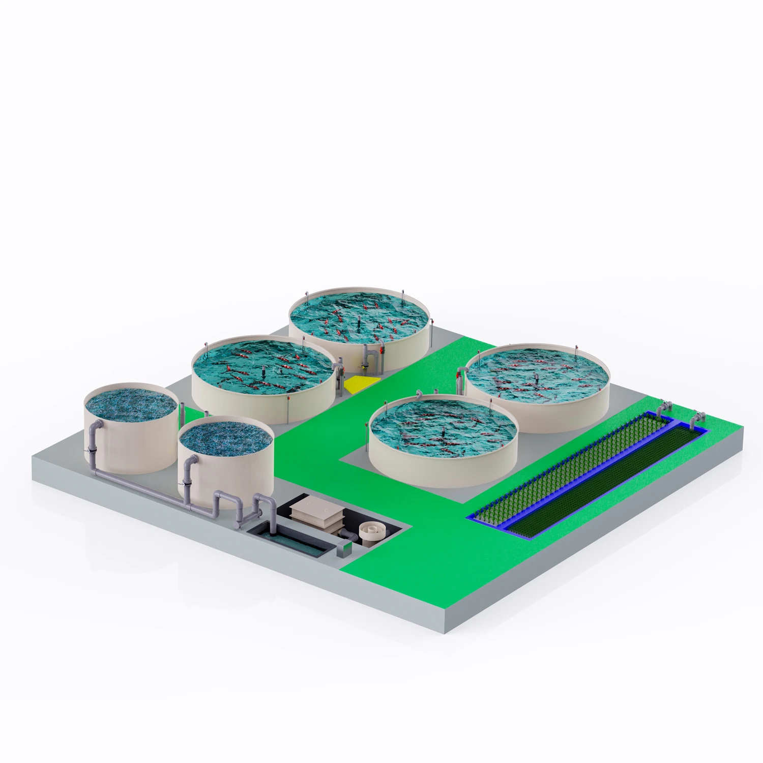 Aquaculture Equipment for Circulating Water Culture Fish Paragenesis Filter and Drum Filter with Protein Skimmer