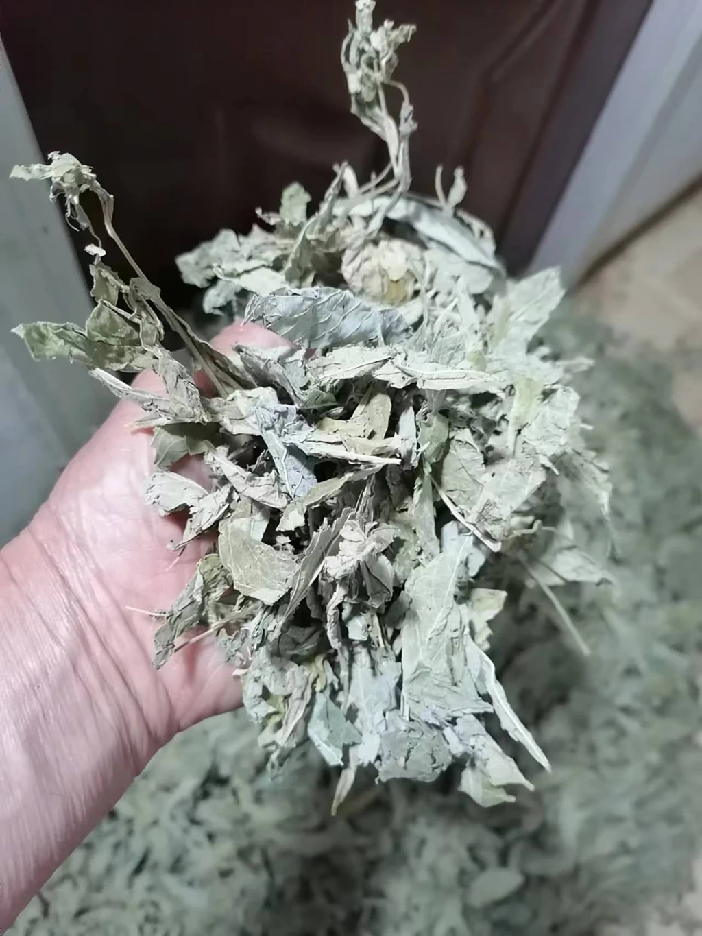Pure natural raw dried Pigeon pea cut leaf dehydrated Cajanus cajan leaves for sale