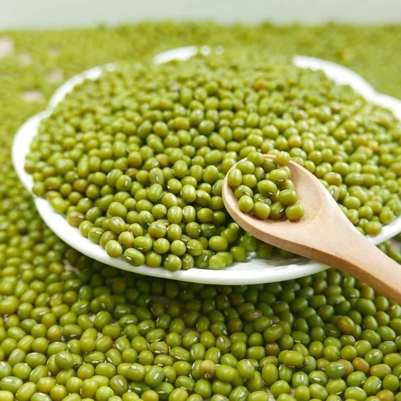 Mung Beans Non-Gmo Organic Mung Dall Dal Monge Green Mung Bean Price