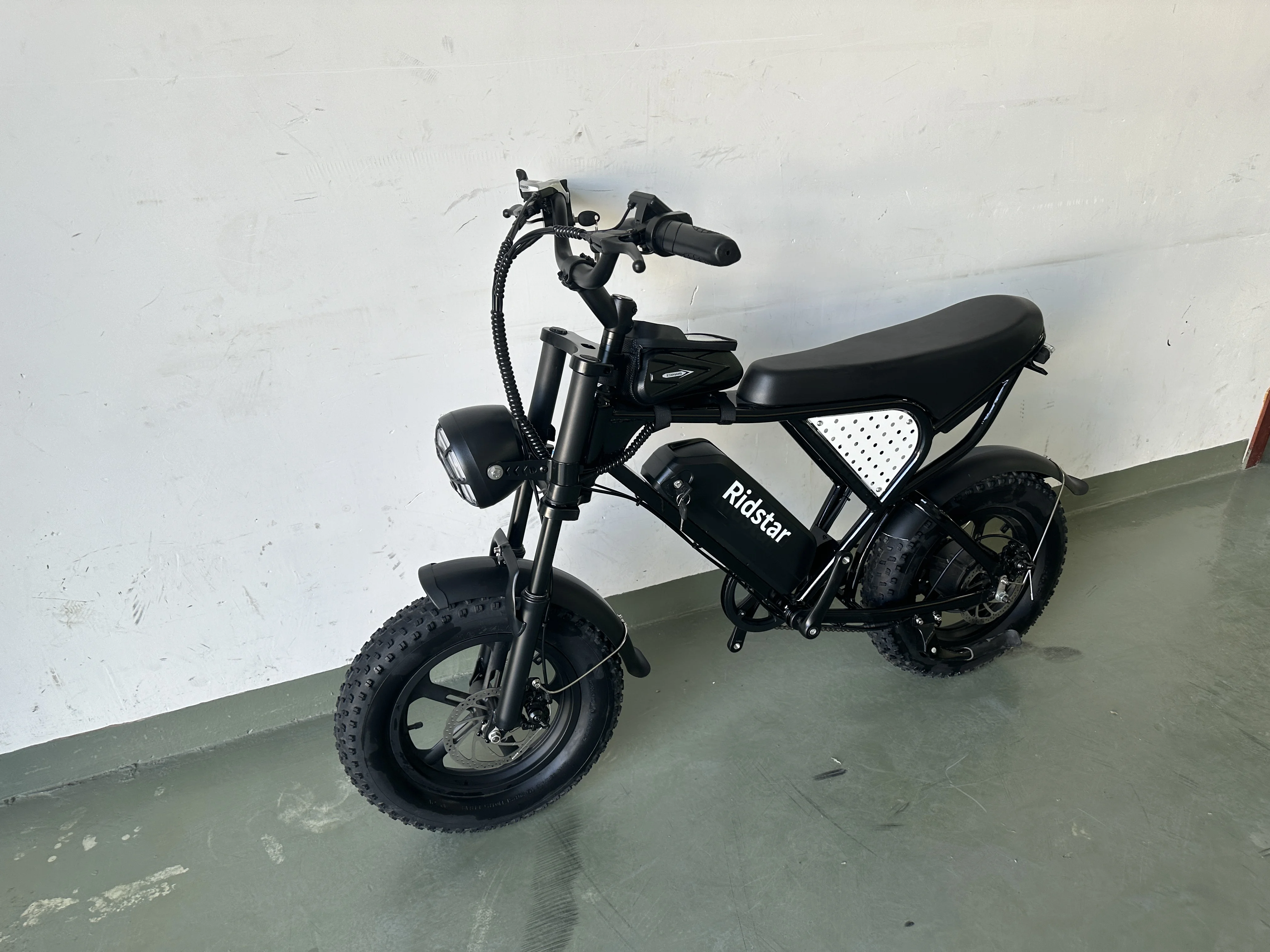 Factory Wholesale Fat Tire Central Mid Drive Dual Lithium Battery Ebike Aluminum Alloy Oem Electric Mountain Bike 16 Inch 1000w