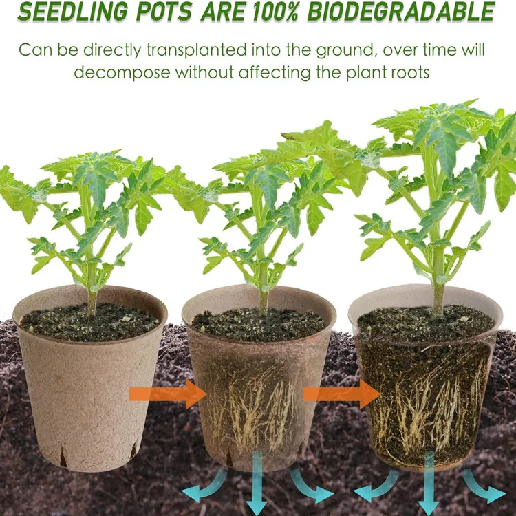 biodegradable paper pulp organic seeding pots for starting flowering plants herbs vegetables strawberries