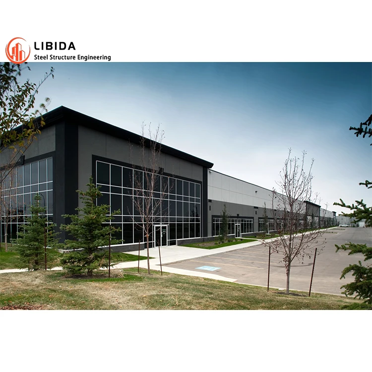 Professional Designed Steel Structure Workshop Prefab Store Steel Structure Building Industrial Warehouse