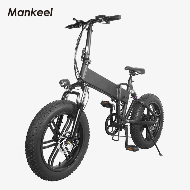 Wholesale 500w cargo electric bicycle with roof