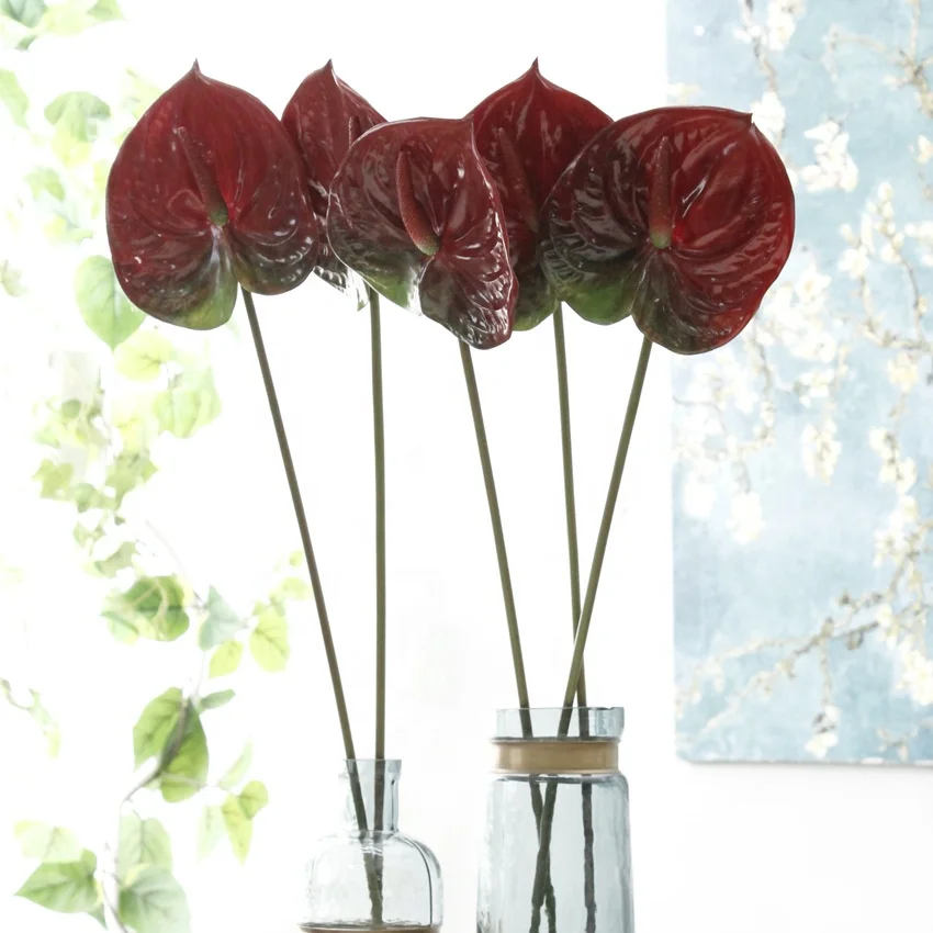 Free Sample Anthurium In Bangkok Wedding Home Decor Flowers Artificial Anthurium