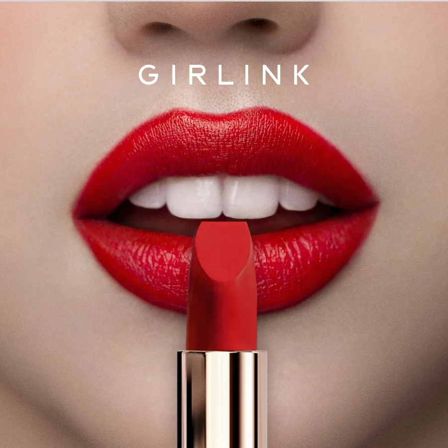 lakme Makeup vendor high quality oem matte lipstick private label lipstick