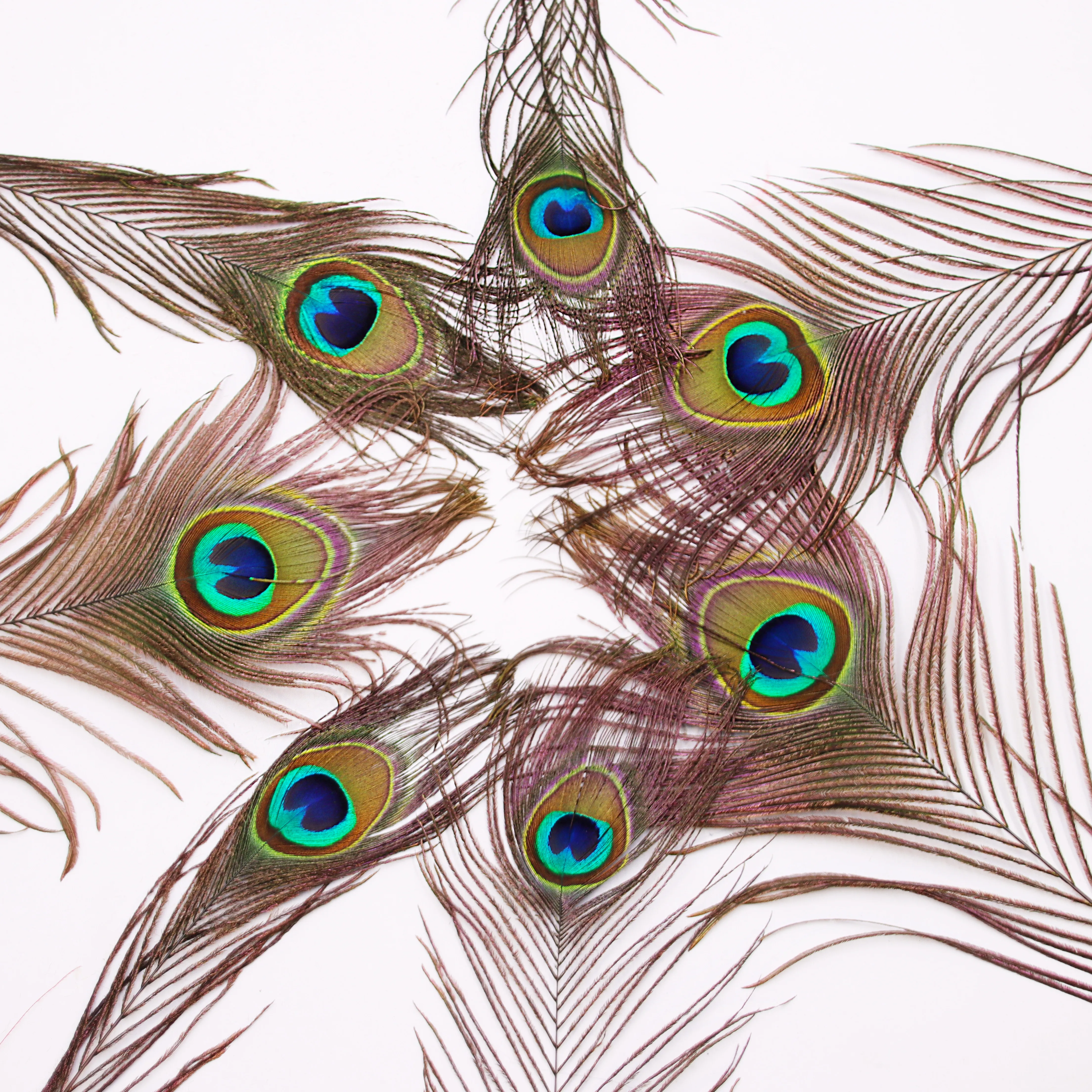 25-30 см натуральный в виде перьев павлина DIY ручной работы ремесла Цветочная композиция украшения оптом