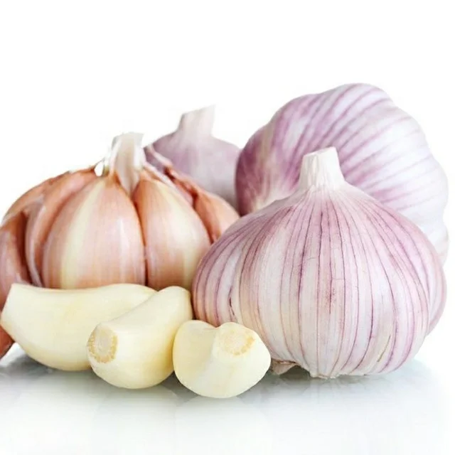 New Crop Fresh Garlic In Good Quality Fresh Normal White Garlic In Low Price From China