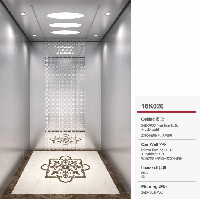 Syney Engergy and Space Saving 10 person Passenger Lift 800Kg Price Cheap