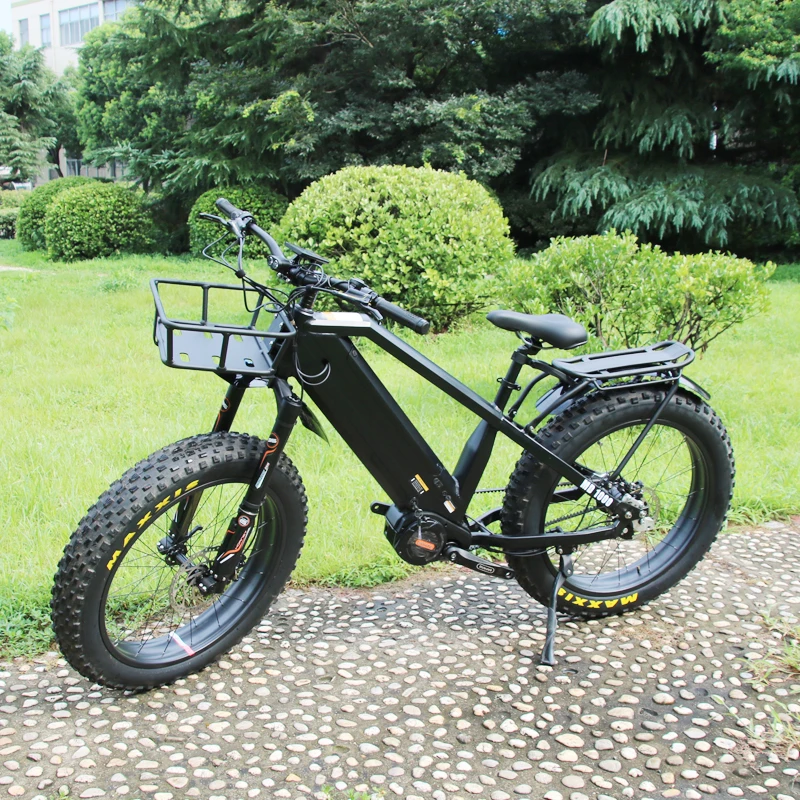 Bafang Automatic Inner Hub 5 Speeds Electric Fat Bike Gates Belt Drive Electric Bicycle 1000W with M620 Dual Batteries Ebike