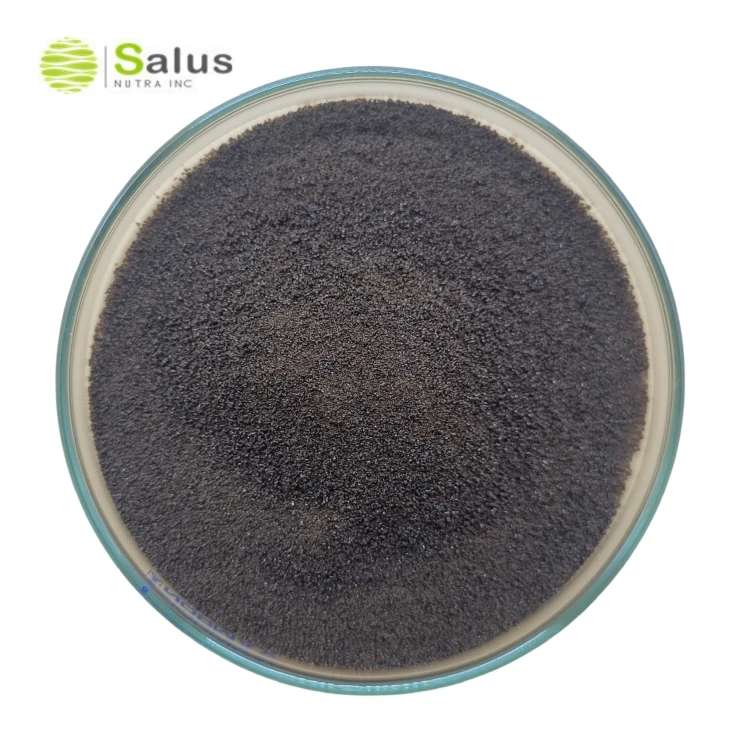 Ganoderma mushroom Coffee Powder OEM Service For Longevity, Mood, Sleep, & Immune Support
