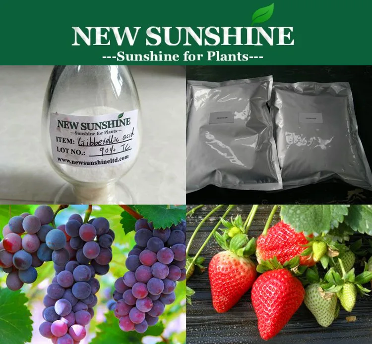 Высокоэффективный растительный гормон gibberellin GA4 GA7