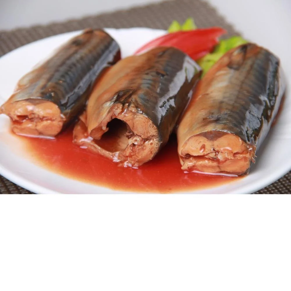 good quality canned mackerel in brine