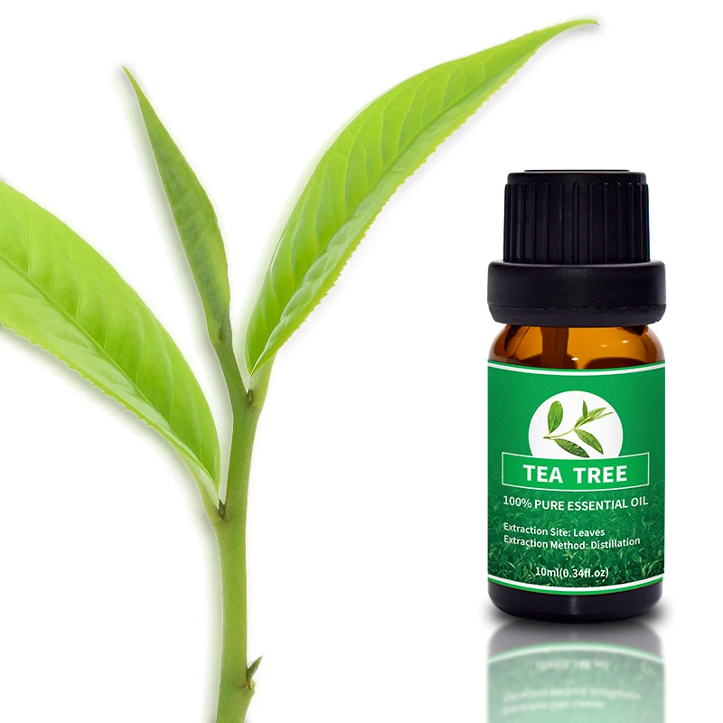 Bulk Trade Price Customize Organic 100% Nature Therapeutic Grade Tea Tree Essential Oil
