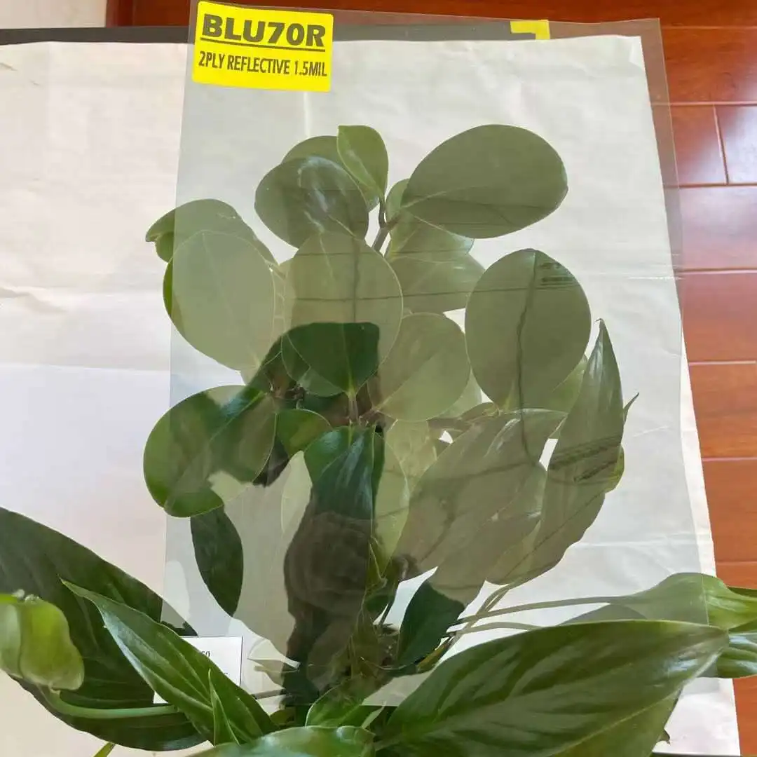 BLU70R VLT 70% IR 30% GOOD COLOR STABLE ANTI SCRATCH AND ANTI-GLARE PROTECTION FOR SAFETY WINDOW TINT AUTOMOTIVE REFLECTIVE FILM