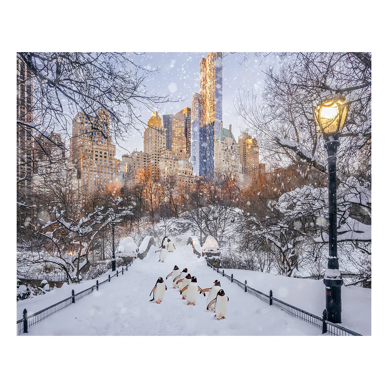 Paint boy WB2380 paint by numbers photo custom wall poster christmas gift Urban snow penguin landscape DIY diamond painting case