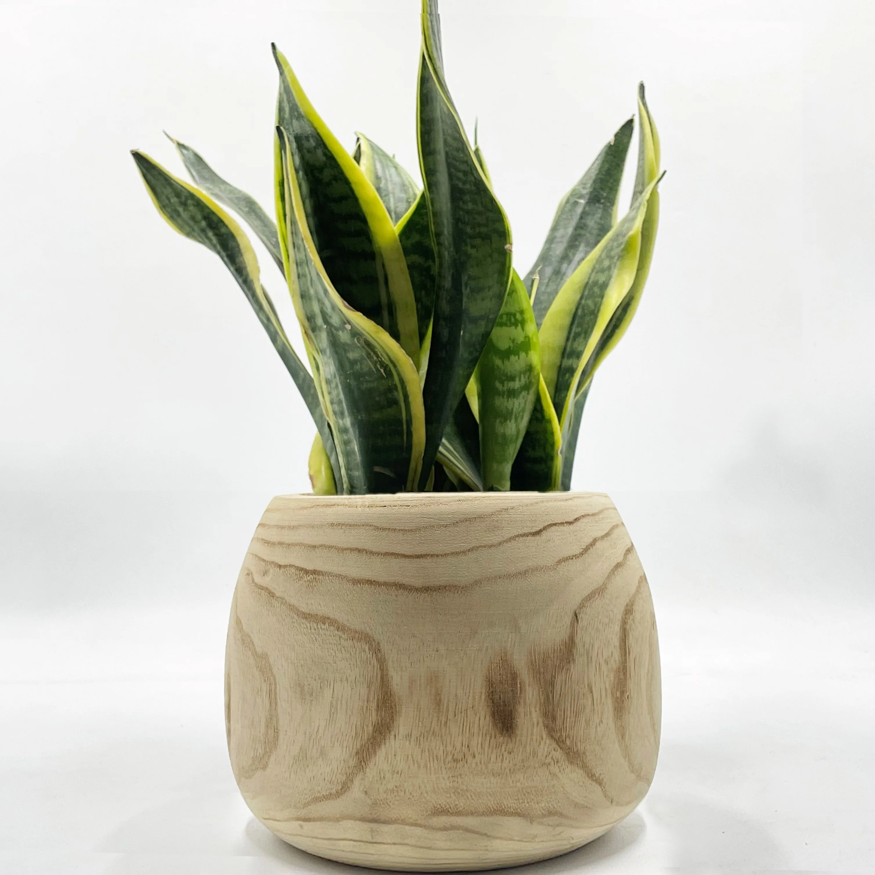 Custom rustic paulownia Wood Vases Natural Wood Flower Vases Home Decor