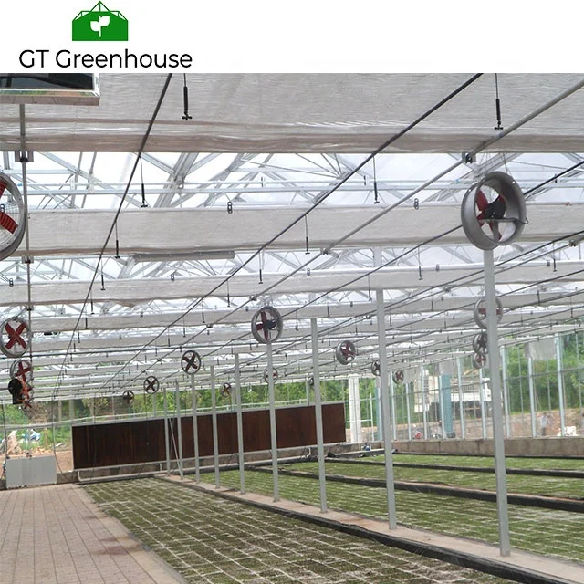 Snail Farming Agriculture Types 5th Generation Greenhouses Commercial Green House