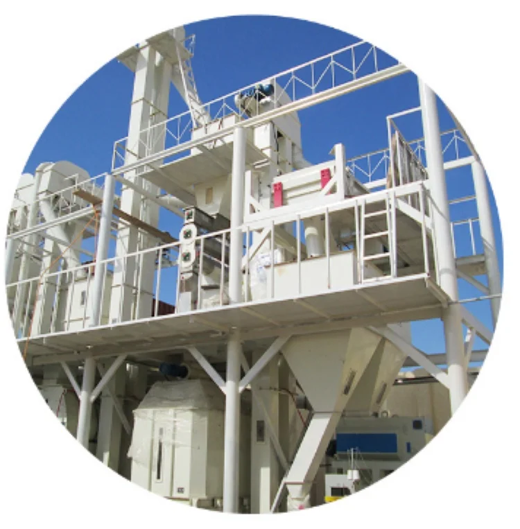 40 Ton/Hour Turnkey Project Livestock Poultry Feed Pellet Making Gear Bearing Components Plant Granulate Pellet Machine