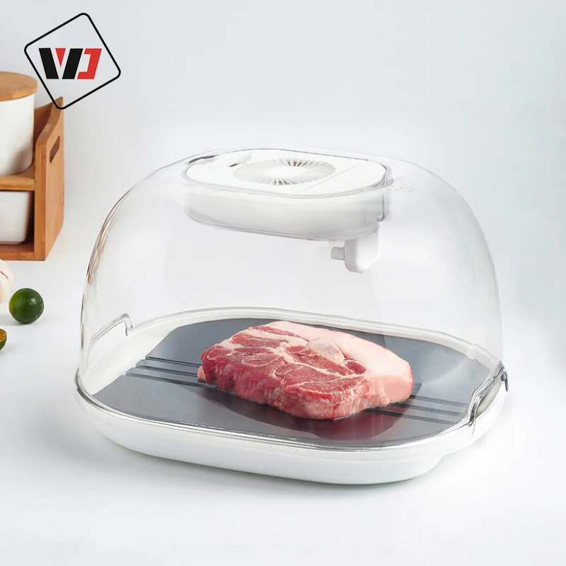 2022 new development thaw defrosting tray high quality thawing tray for frozen meat