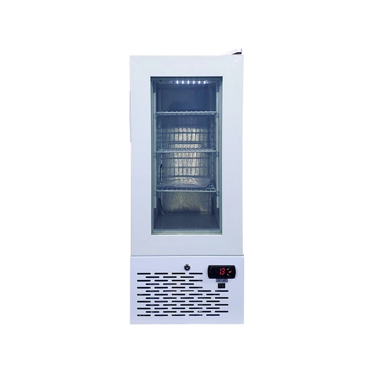 Meisda SD21B 21L small upright cheese and ice-cream display freezer with glass door