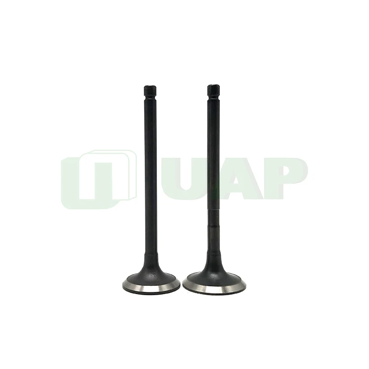 WL Engine Intake And Exhaust Valves WL51-12111 WL51-12121A Engine Valve