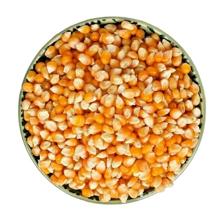 
NON-GMO Popcorn Kernels Popping Corn Raw Maize Seeds 1kg & 2kg From 