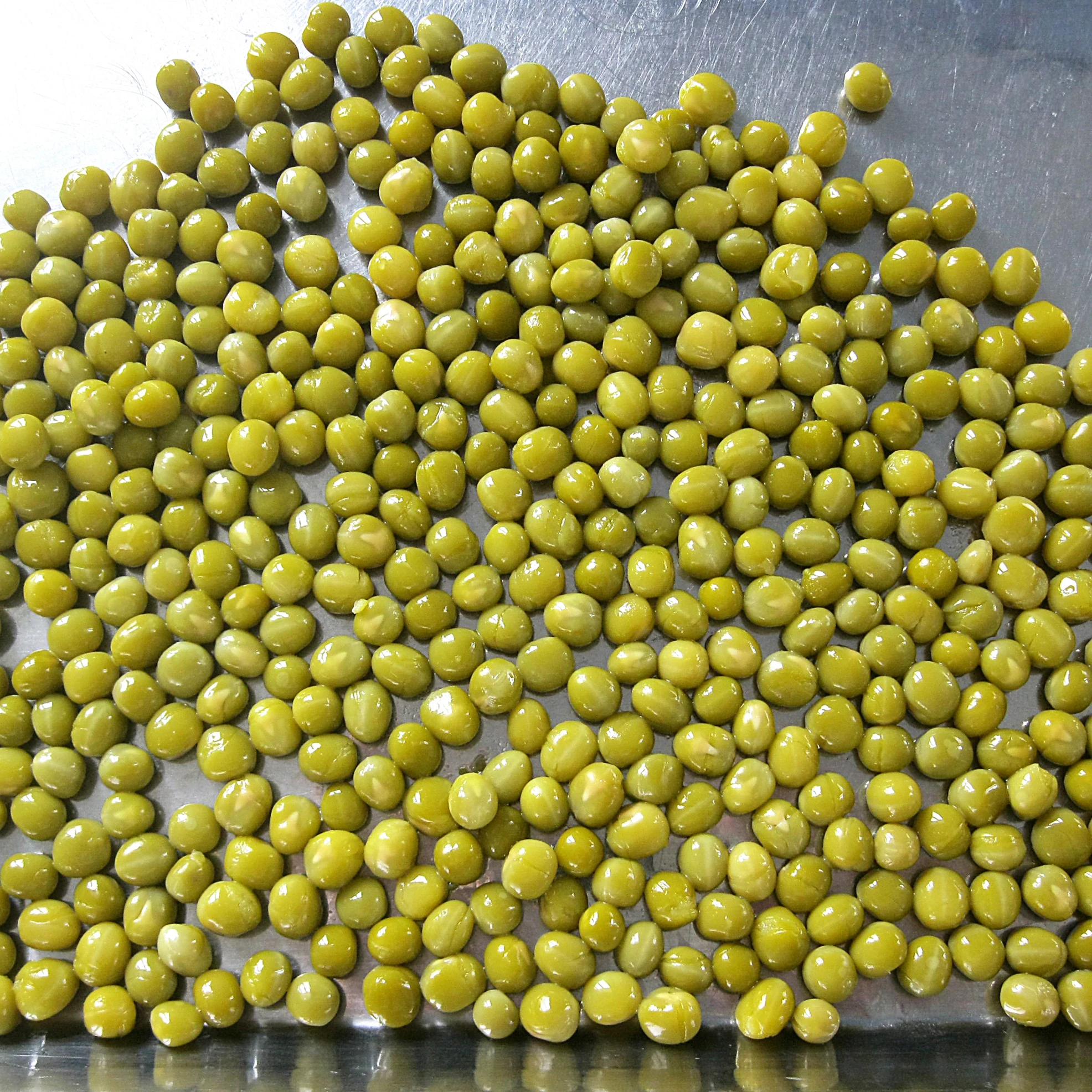 canned Chinese green peas in good quality 400g
