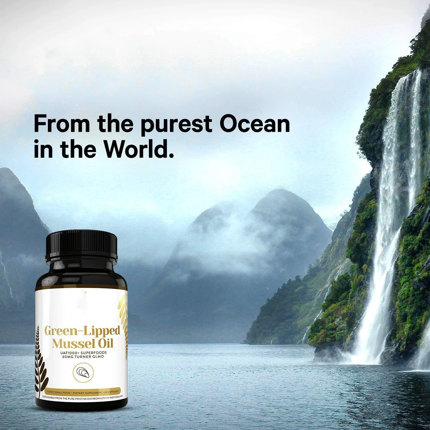 Green Lipped Mussel Oil Super Antioxidant for Superior Joint Comfort And Mobility With No Fishy Aftertaste Softgels