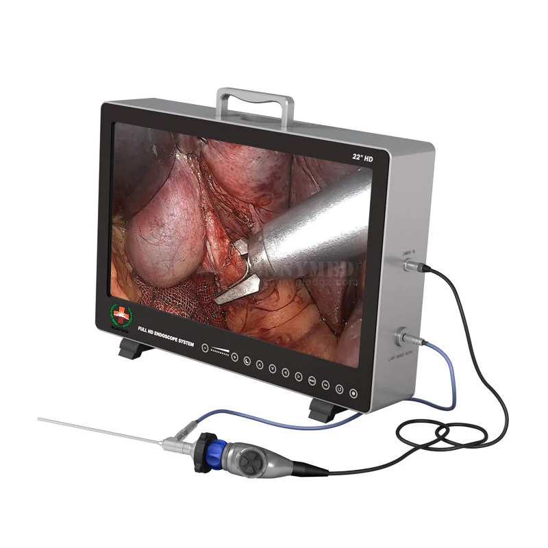 SY-PS050 ветеринарный Высококачественный встроенный HD-эндоскоп для ветеринарной урологии эндоскоп с источником света