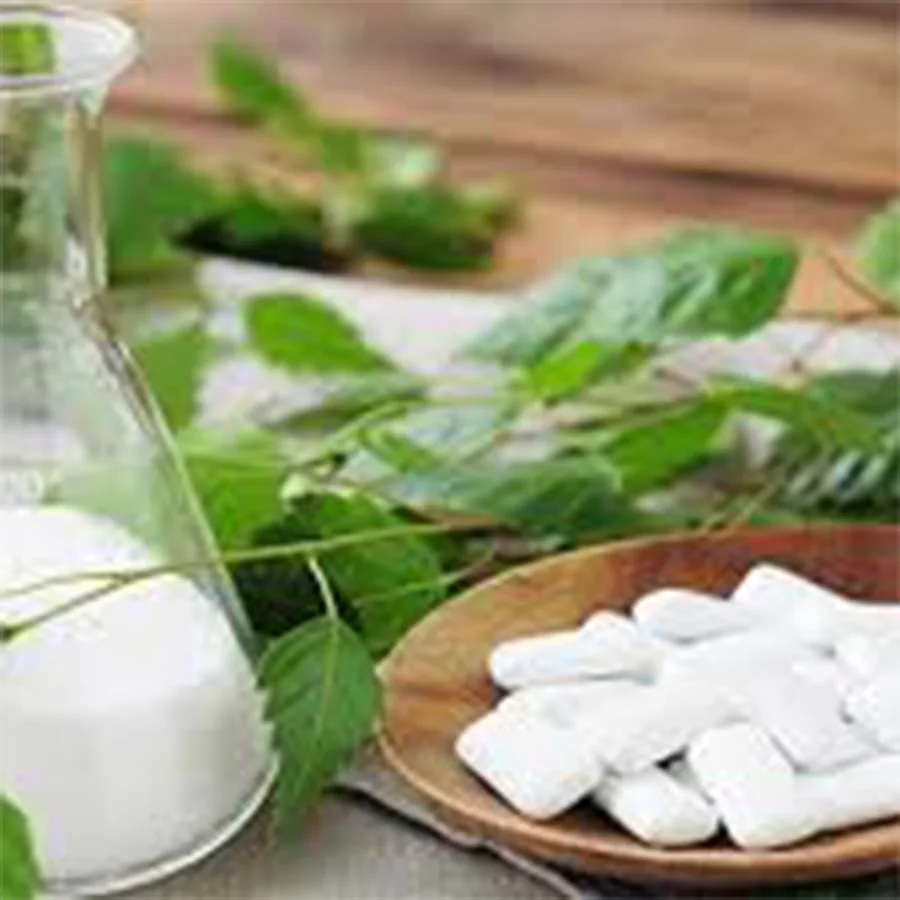 private label service  xylitol sugar free chewing gum hot selling fruit chewing gum wholesale big size chewing gum
