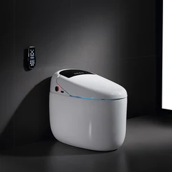 Wholesale Luxury Intelligent Modern Smart Bidet Toilet China Supplier