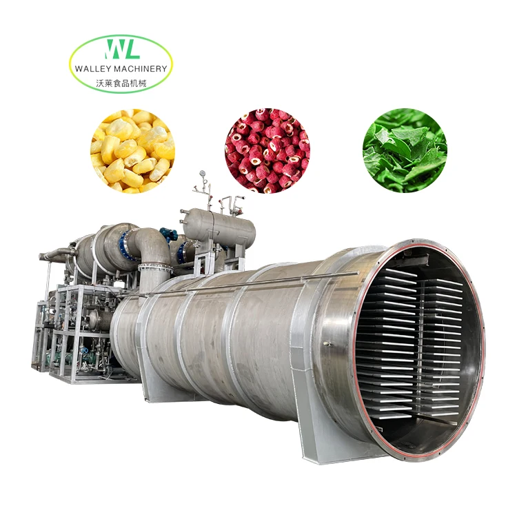 Hot Sale Large Scale Industrial Vacuum Freeze Dryer for Sweet Corn Food Lyophilizer Strawberry Freeze Drying Equipment