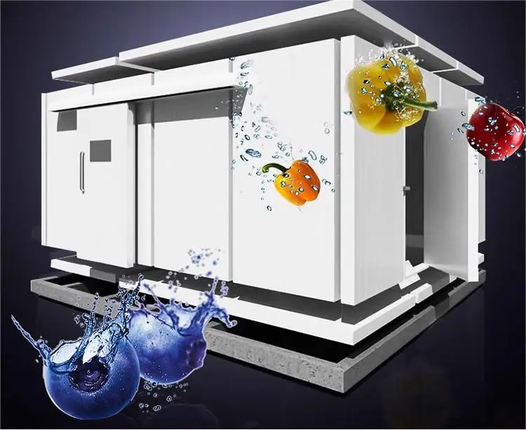 Большие коммерческие холодильные камеры и морозильная камера, морозильная камера, прогулка в холодильной установке, холодное хранение