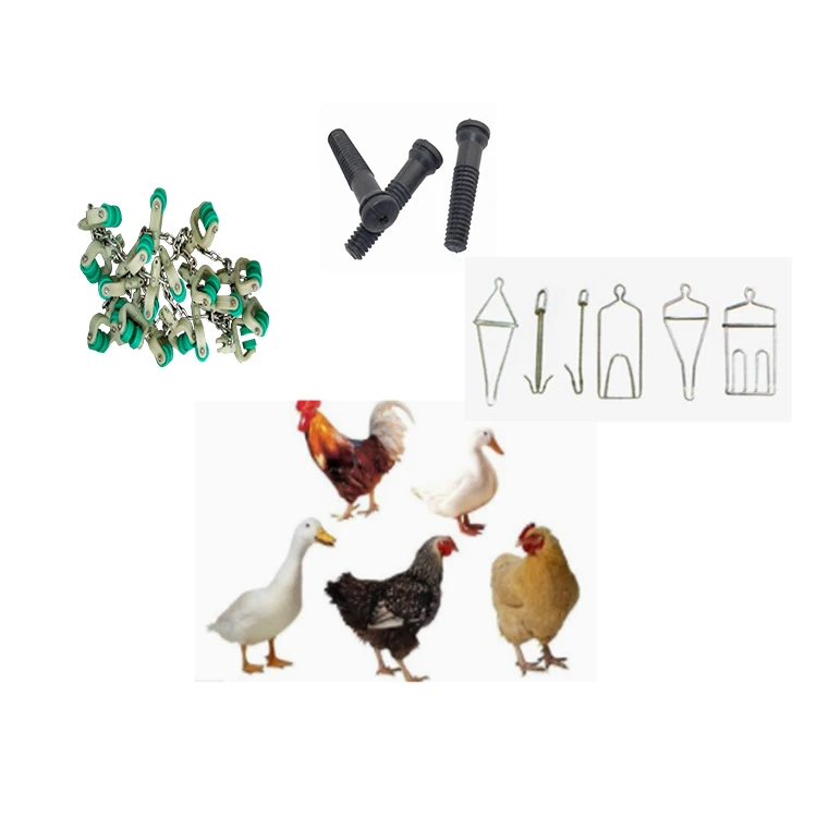 Modern Chicken Meat Processing Factory Amazing Poultry Processing Machines (62248096968)