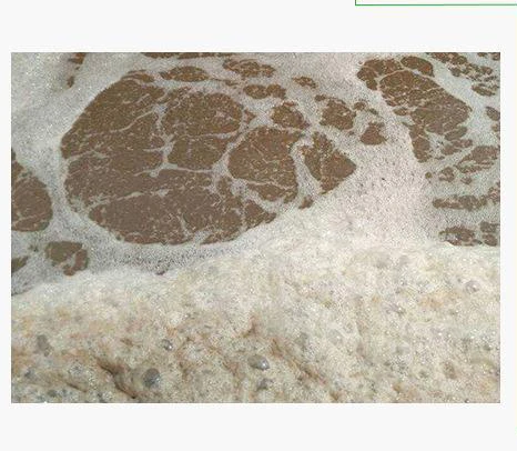 best aerobic bacteria specially for the treatment of industrial wastewater