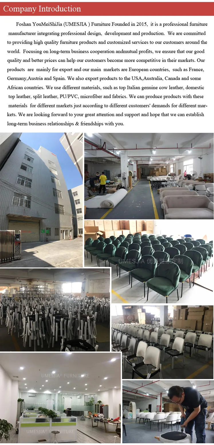 Company-introduction